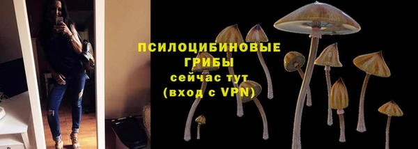 трава Алзамай