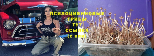 мяу мяу кристалл Алексин