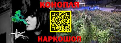 стафф Можга