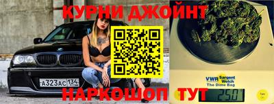стафф Можга