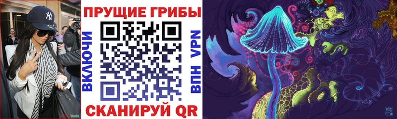 Псилоцибиновые грибы Magic Shrooms  MEGA как зайти  Полевской  как найти закладки 