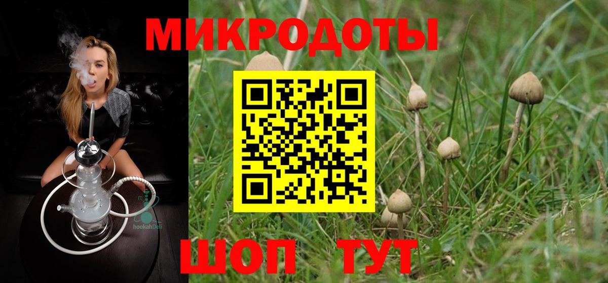купить наркотик  Вход с VPN  Полевской  Псилоцибиновые грибы мицелий 